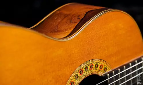 ویژگی و مشخصات گیتار آدمیرا Fiesta